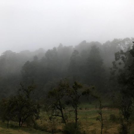 Cabana Romantica En El Bosque! Acaxochitlán Dış mekan fotoğraf