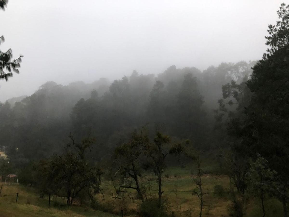 Cabana Romantica En El Bosque! Acaxochitlán Dış mekan fotoğraf